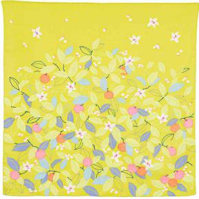 Afbeelding Furoshiki Citrus 